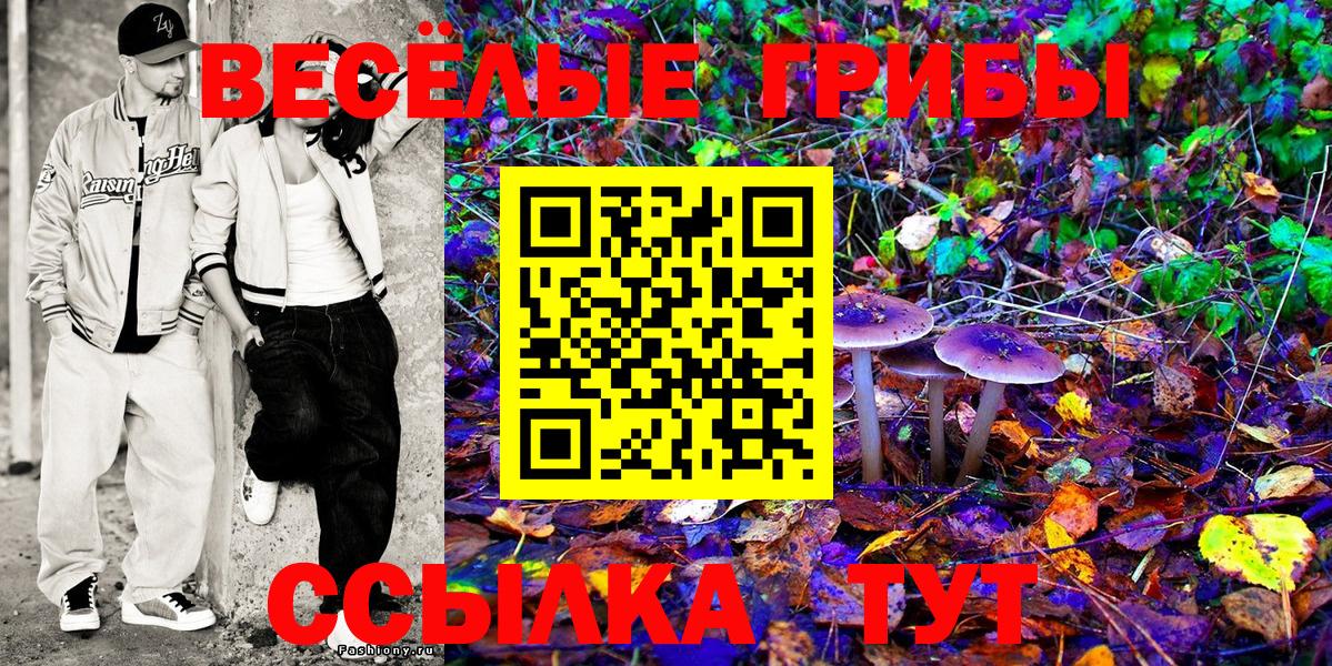Галлюциногенные грибы ЛСД Дербент